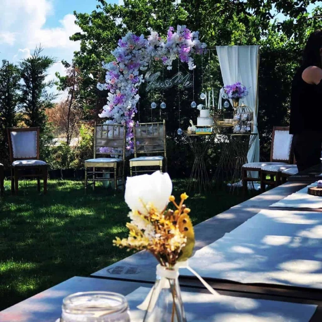 Wonder Wedding