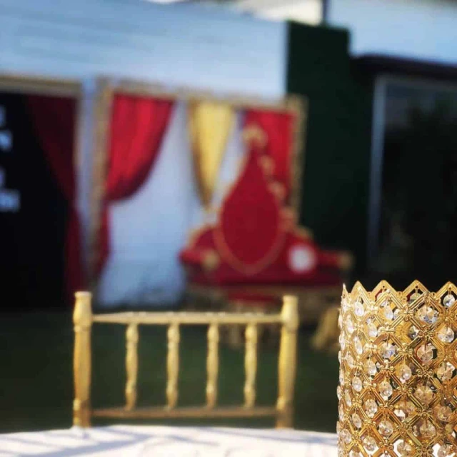 Wonder Wedding