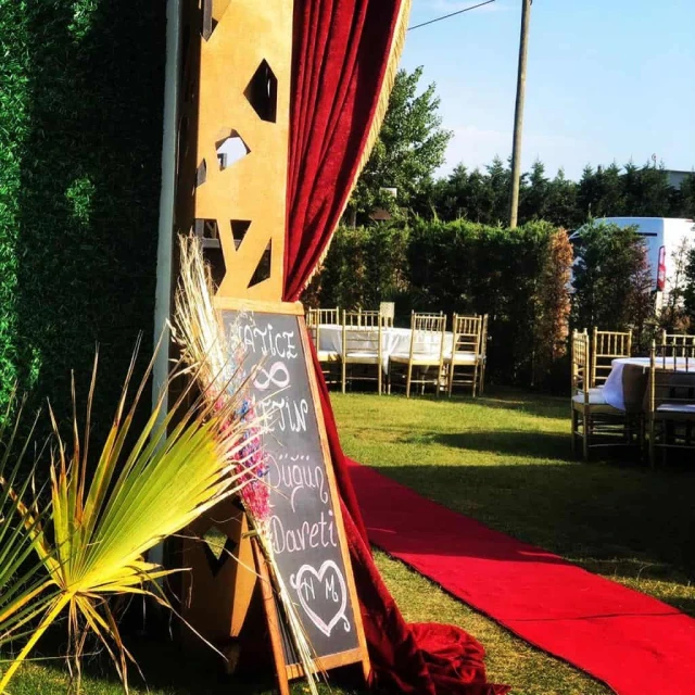 Wonder Wedding