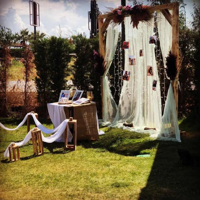 Wonder Wedding