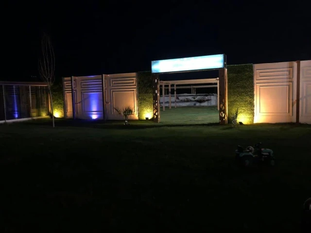 Wonder Wedding