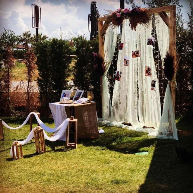 Wonder Wedding