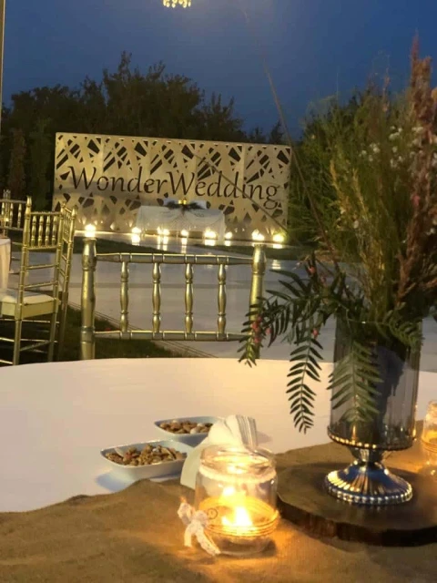 Wonder Wedding