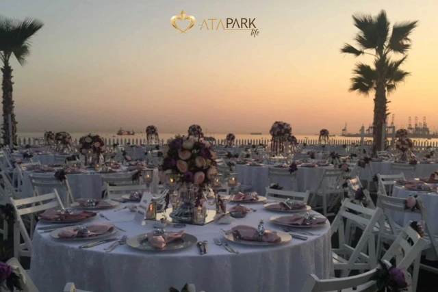 Atapark Life