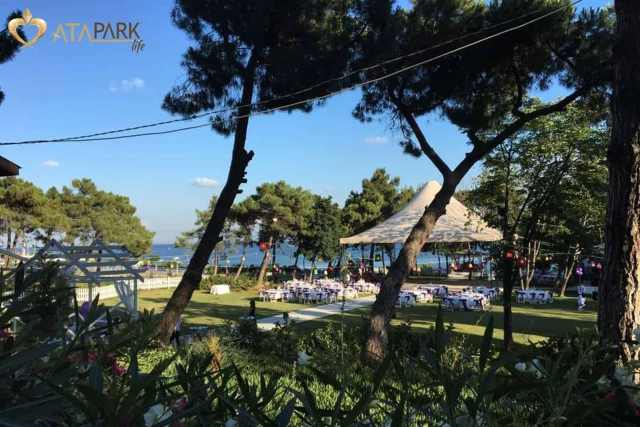 Atapark Life