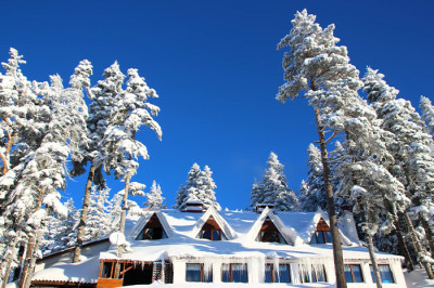 En İyi Ilgaz Dağ Evleri 