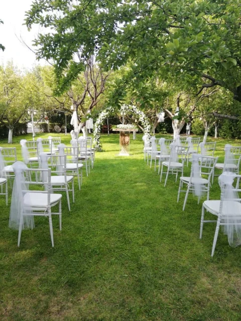 Gold Garden Pool & Wedding