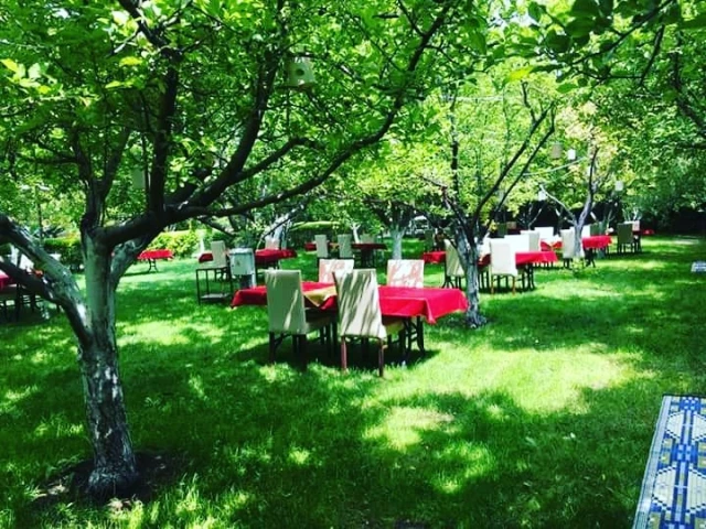Gold Garden Pool & Wedding