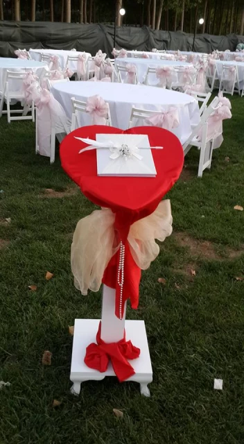 Park Sardunya Kır Düğünü Bahçesi
