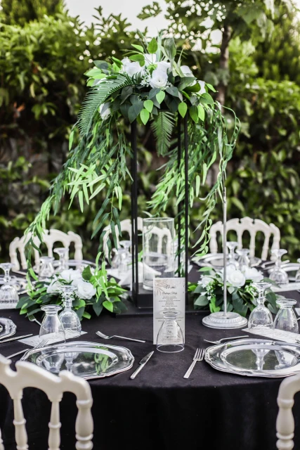 Karnaval Luxury
