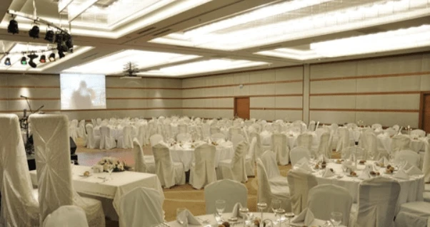 Otel Niza Park