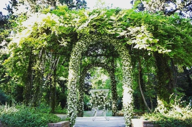 Edward Whittall Garden