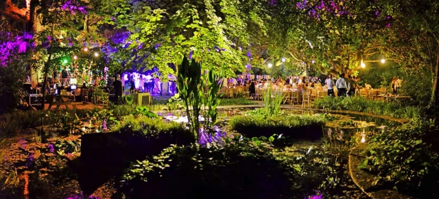 Edward Whittall Garden
