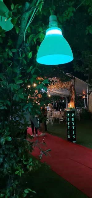 Zeytin Kır Düğün Bahçesi