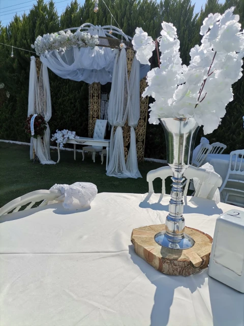 Zeytin Kır Düğün Bahçesi
