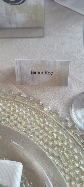 Tekne Turunuz Meral Organizasyon