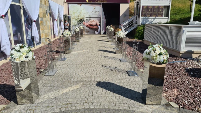 Laviva Garden