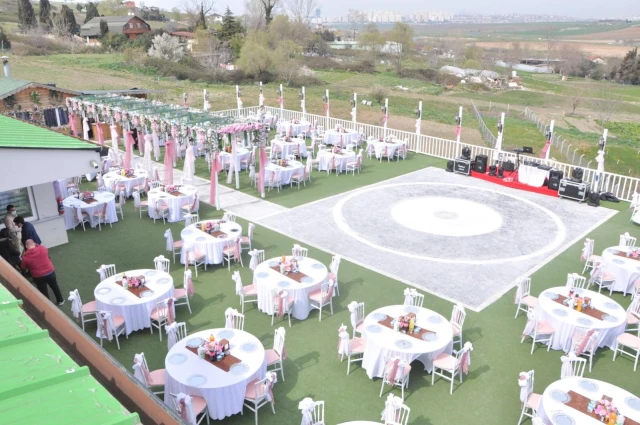 Anatolia Davet Alanı
