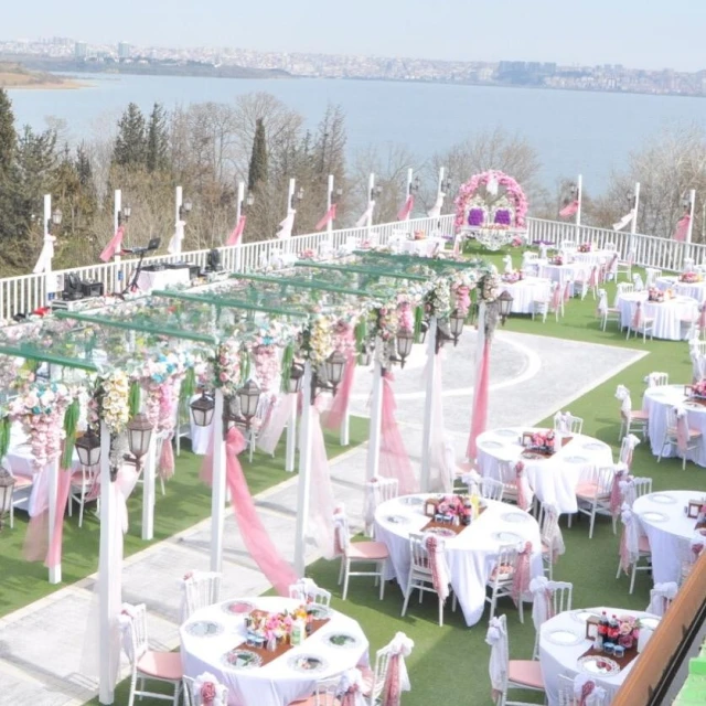 Anatolia Davet Alanı