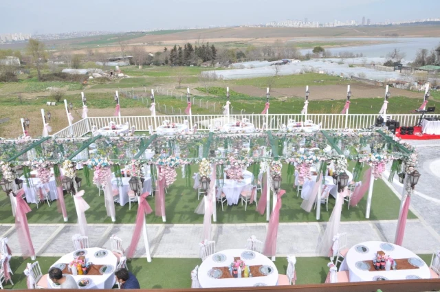 Anatolia Davet Alanı