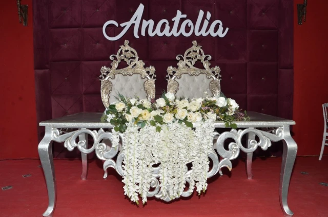 Anatolia Davet Alanı