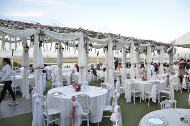 Anatolia Davet Alanı