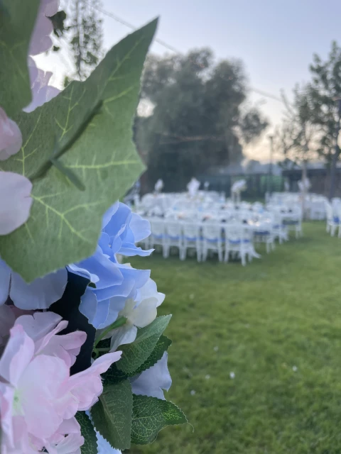 New Mahall Kır Düğünü