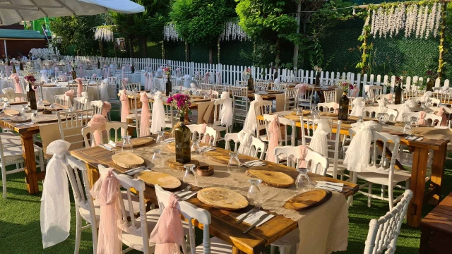 Vip Garden