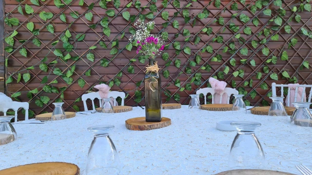 Vip Garden