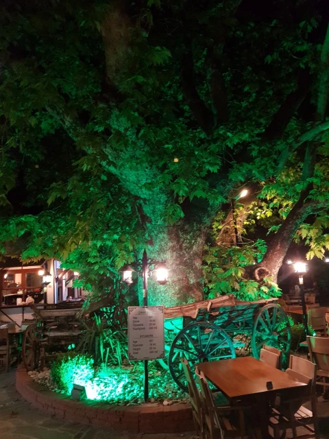 Tarihi Çınaraltı Restaurant
