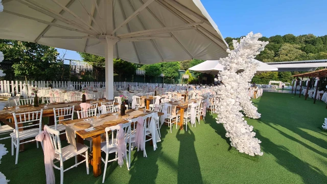 Vip Garden
