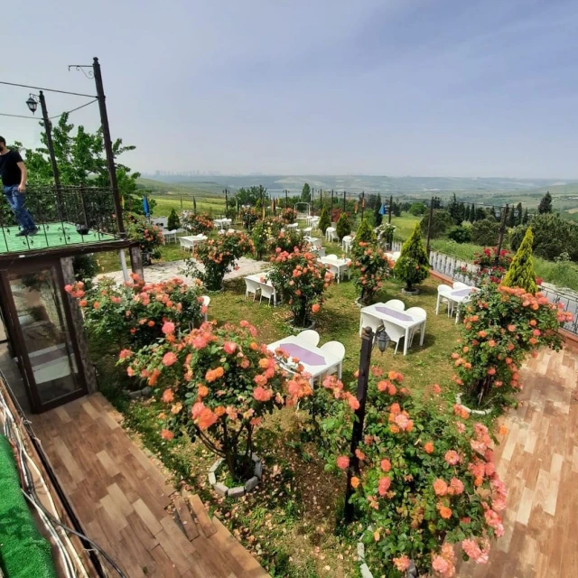 Kuzey Garden