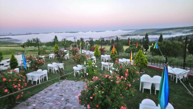 Kuzey Garden