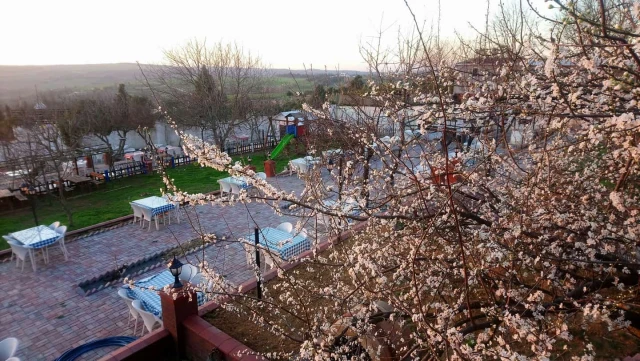 Kuzey Garden