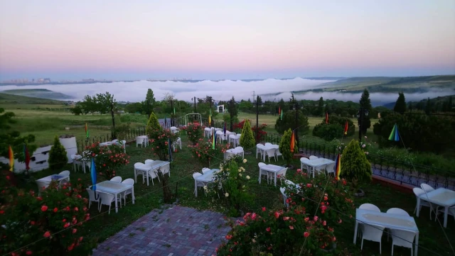 Kuzey Garden