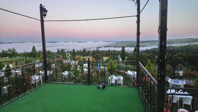 Kuzey Garden