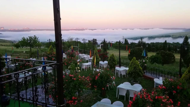 Kuzey Garden