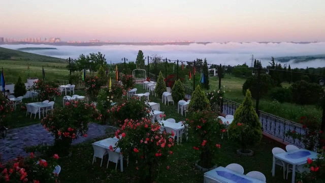 Kuzey Garden
