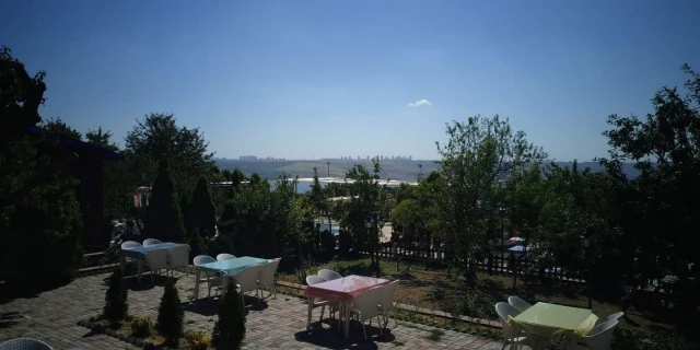 Kuzey Garden
