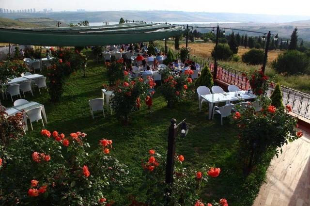 Kuzey Garden