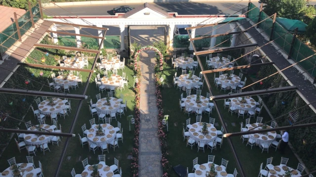 Risus Wedding