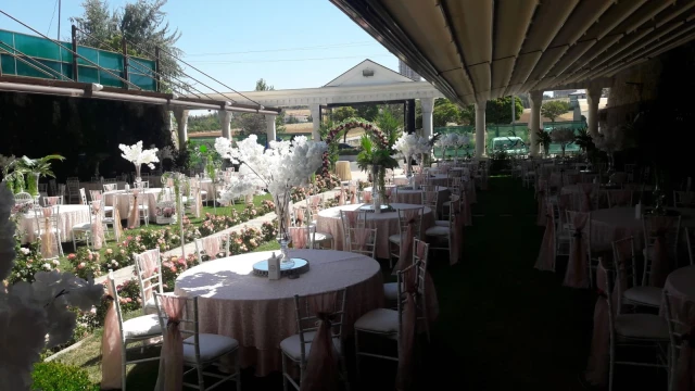 Risus Wedding