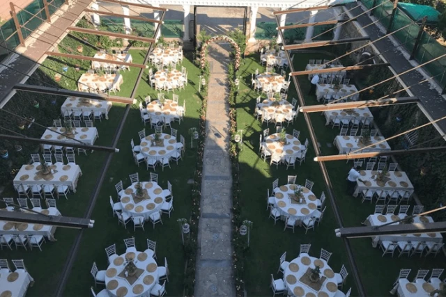 Risus Wedding