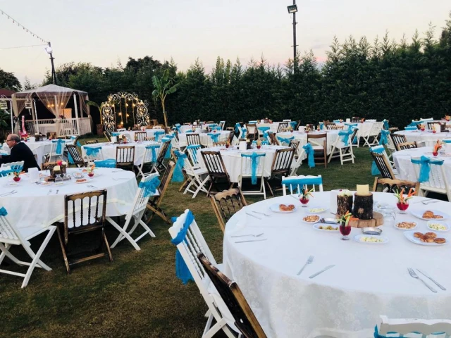 Elit Elegance Düğün Davet
