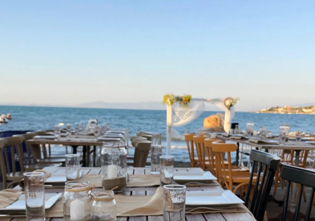 Allesta Plus Wedding