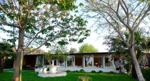 Altın Balık