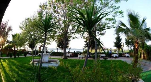 Altın Balık