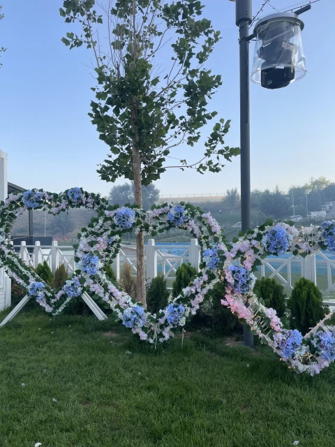 New Mahall Kır Düğünü