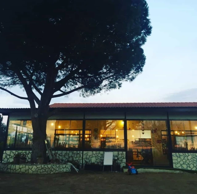 İnek Obası Urla