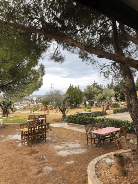 İnek Obası Urla